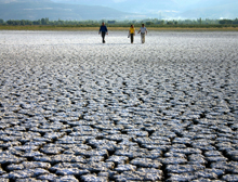 Drought